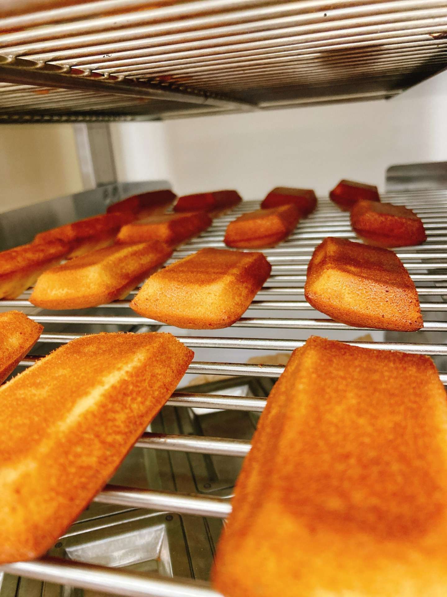 ティータイムギフト〜彩り〜 8個入り